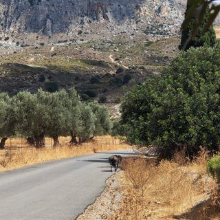 null עצירה בדרך חזור מחוף אמודי